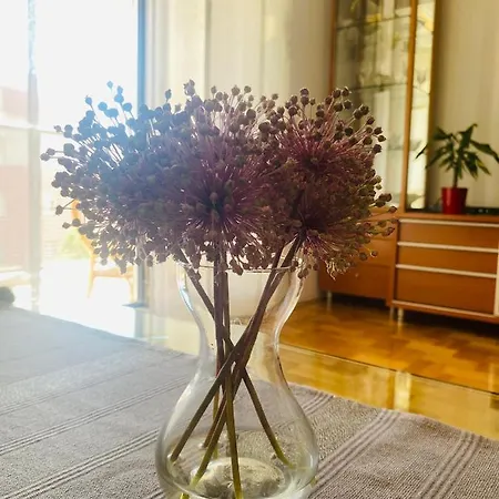 Apartament Paulina *