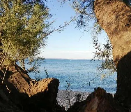 Apartament Paulina