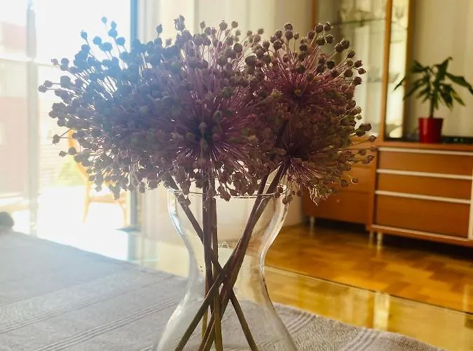 Apartman Paulina *