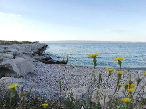 Apartman Paulina Split